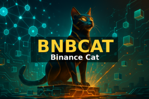 Binance Cat (BNBCATUSDT)